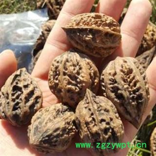 诺源药材行苑核桃 山核桃图2