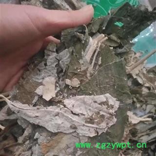 安祁名药正品紫珠叶  大叶紫珠叶图2