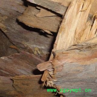 安祁名药中药材紫衫图2