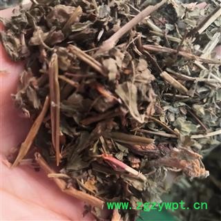 安祁名药莽草  实物拍摄图3