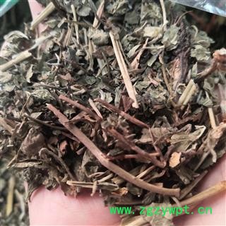 安祁名药莽草  实物拍摄图2