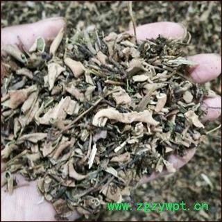 石韦 统 小叶石韦 产地 安徽省 批发零售各种中药材图4