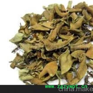 石韦 统 小叶石韦 产地 安徽省 批发零售各种中药材图2