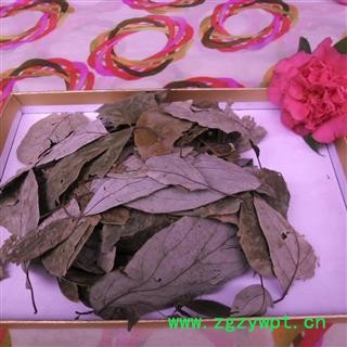 香樟叶 烘干好货 产地 四川省成都市双流县图2