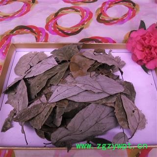 香樟叶 烘干好货 产地 四川省成都市双流县图4