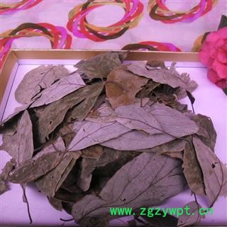 香樟叶 烘干好货 产地 四川省成都市双流县图3