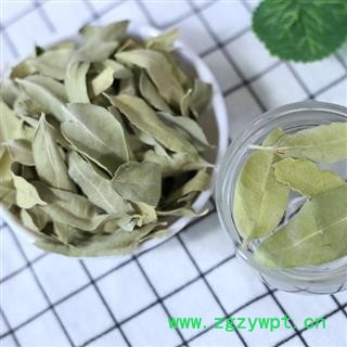 优质正品罗布麻叶 日晒无硫1000g图2