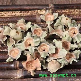 【新货】秦岭天然柿楴 手工精选 日晒无硫500g图4