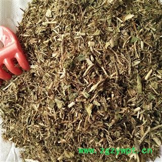 金银花藤 统 产地 四川省成都市双流县图4