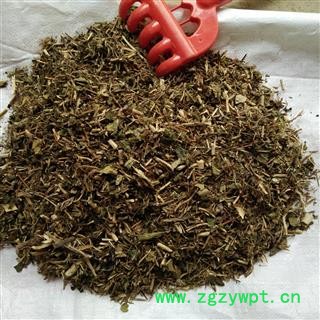 金银花藤 统 产地 四川省成都市双流县图2