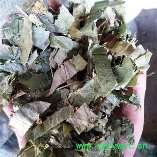 淫羊藿 统段 产地 海外图2