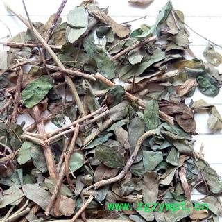 小丽百草行相思藤  土甘草 香仪 珠子草 假甘草图2