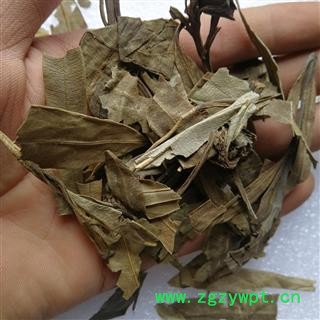 小丽百草行夹竹桃叶 夹竹桃叶 柳叶桃 干叶图2