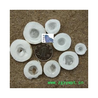 通草 大通草大选片 颜色好 全干 国峰药业 重在品质 产地 广西壮族自治区