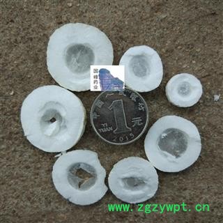 通草 大通草大选片 颜色好 全干 国峰药业 重在品质 产地 广西壮族自治区图2