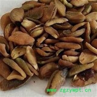 小丽百草行黄皮核 黄皮果核 去皮图2