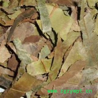 石楠叶统 产地 辽宁省图2