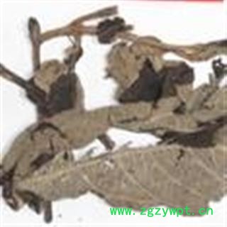 小丽百草行中药材 大叶紫珠 节节红 饭汤叶 贼佬汤 大斑鸠米 裸花紫珠叶 尖尾枫图2