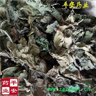 平安药业 桑叶 正品 霜桑叶 绿萝 家桑 荆桑 桑椹树 黄桑叶 桑枣树图2