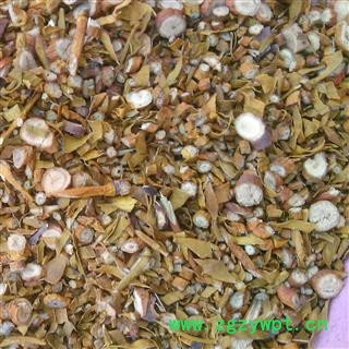 槲寄生 北寄生,冬青大统片1000克促销批发 产地 辽宁省辽阳市文圣区 大货批发价图3