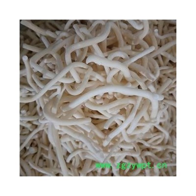 小通草个 大通草 产地 四川省攀枝花市