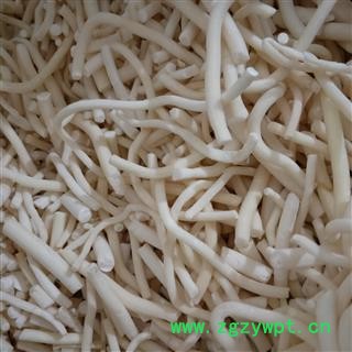 小通草个 大通草 产地 四川省攀枝花市图3