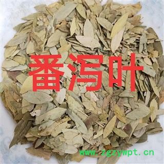 番泻叶 番泻叶统货 产地 广西壮族自治区图3