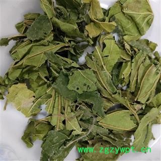 桑叶 青桑叶统货 产地 山东省图3