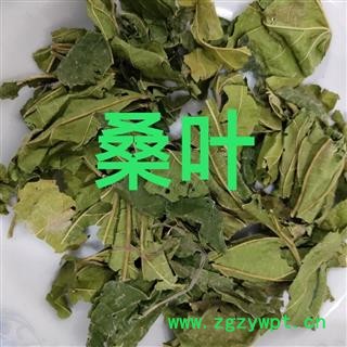 桑叶 青桑叶统货 产地 山东省图4