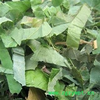 淫羊藿 陕西淫羊藿 产地 陕西省图2