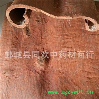 【油桂  肉桂  板桂】@【同欢药材】中药材批发供应  规格齐全 量大从优 产地 广西壮族自治区图2