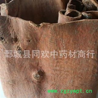【油桂  肉桂  板桂】@【同欢药材】中药材批发供应  规格齐全 量大从优 产地 广西壮族自治区图3