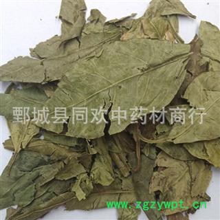 【橘叶】@【同欢药材】中药材批发供应 规格齐全 量大从优  产地 四川省图2