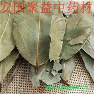 调料香叶 统 产地 广西壮族自治区图2