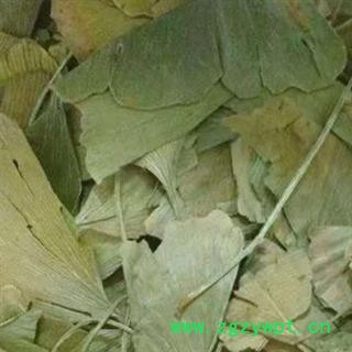 中药材银杏叶 本品为秋季新货无硫无添加 正品银杏叶 质量保证 安国中药材批发零售大全图2