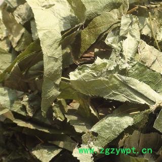 精品淫羊藿选货 颜色好 质量好 价格低  产地 黑龙江省图2