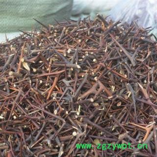 皂角刺 皂角刺中刺 产地 河南省图2