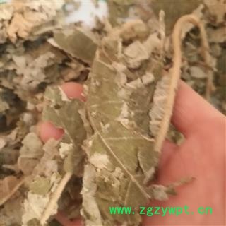 诺源药材行正品紫珠叶 大叶紫珠叶 另有小叶紫珠叶图2