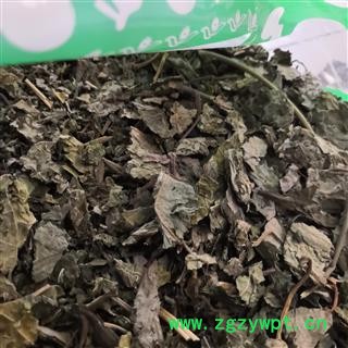 诺源药材行优质楮树叶 楮叶  枸树叶图2