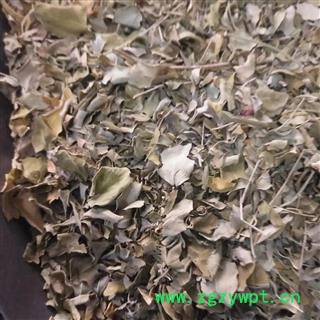 诺源药材行辣木叶  纯天然新货图2