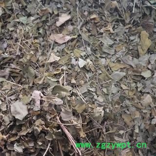 诺源药材行辣木叶  纯天然新货图3