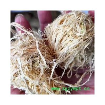 中药材竹茹球 竹茹丝纯天然无硫无添加 干净无杂 手工球各种规格齐全 安国中药材批发零售大全