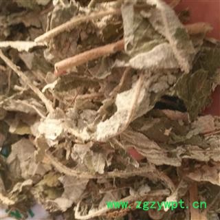 诺源药材行云贵野生紫珠叶 小叶紫珠叶另有大叶紫珠图3