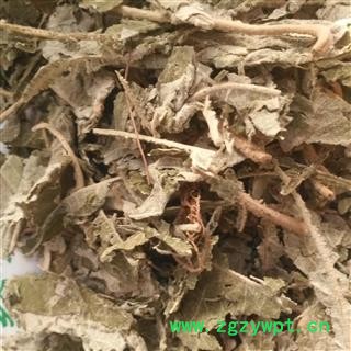 诺源药材行云贵野生紫珠叶 小叶紫珠叶另有大叶紫珠图2