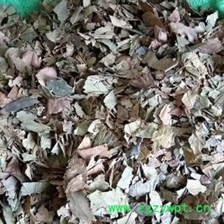 诺源药材行中药材无硫柿叶  霜柿叶图2