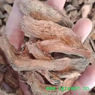 中药材千年健片 本品为无硫新货 精心挑选不掺假 不增重 不染色 自然晒干 品质有保证 安国中药材批发零售大全图4