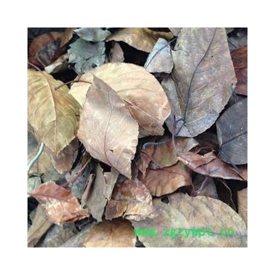 诺源药材行中药材山楂叶  山里红 山楂