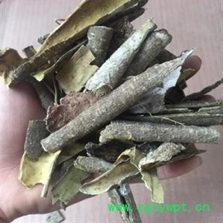 安祁名药救必应 白银树皮 九层皮 白兰香图2