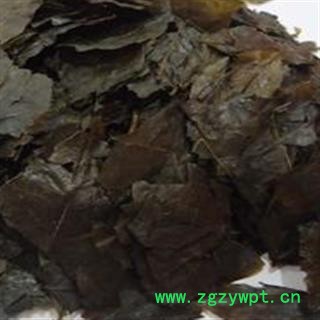 安祁名药正品毛冬青 毛冬青叶图2