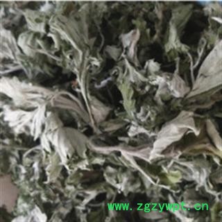 安祁名药正品野生艾叶 艾叶草  优质新货图2